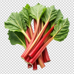 Rhubarbe