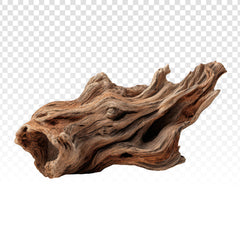 Oud