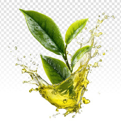 Thé vert