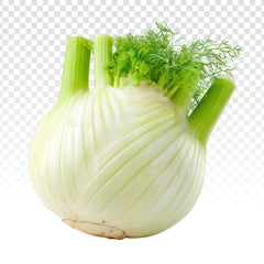 Fenouil