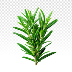 Thym